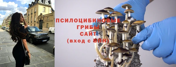 эйфоретик Алексин