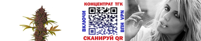 Дистиллят ТГК Wax  площадка Telegram  Курчалой 