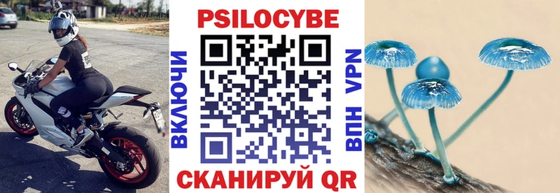 Псилоцибиновые грибы GOLDEN TEACHER  как найти   Курчалой 